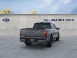New 2025 Ford F150 Platinum image 3