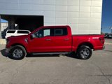 New 2025 Ford F150 XLT w/ Equipment Group 302A MID image 2