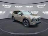 Used 2025 Nissan Rogue SV image 2