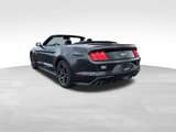 Used 2023 Ford Mustang GT Premium w/ Equipment Group 401A image 3