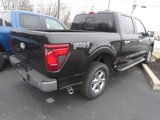New 2025 Ford F150 XLT image 3