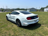 Used 2018 Ford Mustang Premium w/ Equipment Group 201A image 5