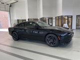 New 2025 Dodge Charger R/T w/ Quick Order Package 25M R/T image 2