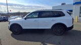Used 2022 Kia Telluride EX w/ EX Premium Package image 5