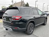 New 2025 Honda Pilot TrailSport image 4