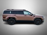 New 2025 Hyundai Santa Fe Calligraphy image 4
