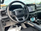 New 2025 Ford F150 XLT w/ Equipment Group 302A MID image 5