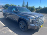 New 2025 Toyota Tundra Platinum image 3