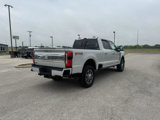New 2025 Ford F250 Platinum image 5