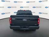 Certified 2023 Ford F150 XLT w/ Equipment Group 302A High image 3
