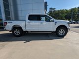 New 2025 Ford F150 XLT image 4