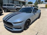 Used 2024 Ford Mustang Coupe w/ Mustang Nite Pony Package image 2