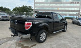 Used 2013 Ford F150 XLT w/ XLT Chrome Pkg image 5