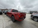 New 2025 Ford F150 XLT w/ Equipment Group 302A MID image 3