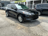 Used 2020 Ford Escape SE image 3