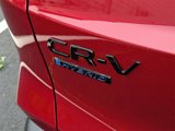 New 2026 Honda CR-V Sport-L image 5