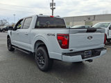 New 2025 Ford F150 XLT image 3