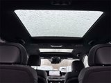 New 2025 Hyundai Palisade Calligraphy image 5