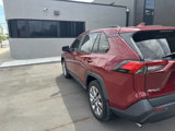 Used 2020 Toyota RAV4 XLE Premium image 3