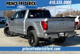 New 2025 Ford F150 XLT w/ Equipment Group 303A High image 3