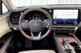 Used 2024 Lexus RX 350 Premium Plus image 5