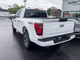 Used 2024 Ford F150 STX image 4