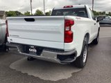 New 2026 Chevrolet Silverado 1500 W/T w/ WT Safety Package image 4
