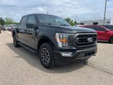 Certified 2023 Ford F150 XLT w/ Equipment Group 302A High image 3
