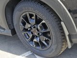 New 2025 Nissan Armada PRO-4X w/ Pro-4X Premium Package image 5