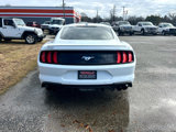 Used 2021 Ford Mustang Premium w/ Equipment Group 201A image 4
