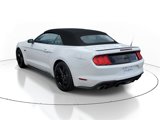 Used 2021 Ford Mustang GT Premium w/ Equipment Group 401A image 3