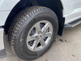 New 2025 Ford F150 XLT image 6