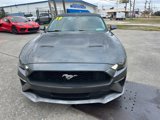 Used 2019 Ford Mustang GT Premium image 3