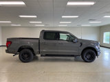 New 2025 Ford F150 XLT w/ Equipment Group 302A MID image 5