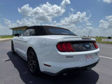 Used 2021 Ford Mustang Premium image 5
