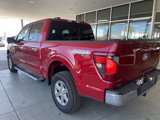 New 2025 Ford F150 XLT w/ Equipment Group 302A MID image 4