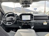New 2025 Ford F150 XLT w/ Equipment Group 302A MID image 5
