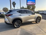 Used 2023 Lexus NX 350 AWD w/ Cold Area Package image 5
