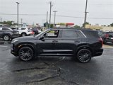 New 2025 Hyundai Palisade Calligraphy image 4