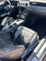 Used 2015 Ford Mustang GT Premium w/ GT Performance Package image 2