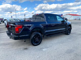 New 2025 Ford F150 XLT w/ Equipment Group 302A MID image 4