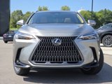 New 2026 Lexus NX 350 AWD w/ Premium Package image 3
