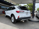 Used 2020 Ford Escape SE image 5