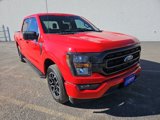 Used 2023 Ford F150 XLT w/ Equipment Group 301A Mid image 2
