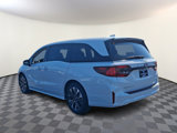 New 2025 Honda Odyssey Elite image 3