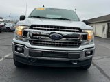 Used 2019 Ford F150 XLT w/ Equipment Group 302A Luxury image 2