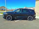 New 2025 Hyundai Palisade Calligraphy image 4