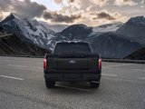 New 2025 Ford F150 Platinum image 5
