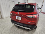 Used 2022 Ford Escape SEL image 4