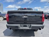 New 2025 Ford F150 XLT w/ Equipment Group 303A High image 5